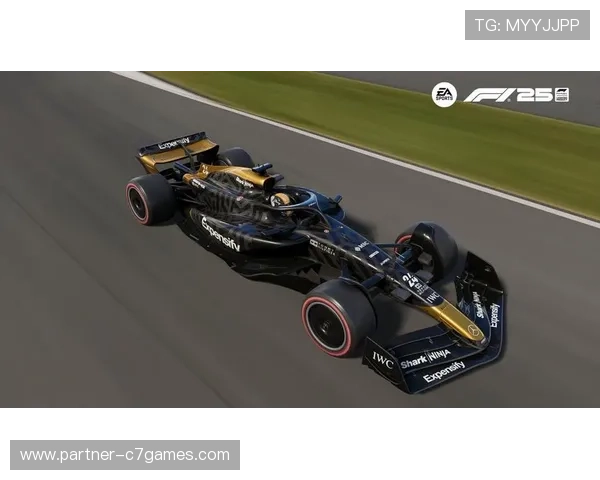 F1赛季紧张激烈 各车队最新动向与未来赛程展望